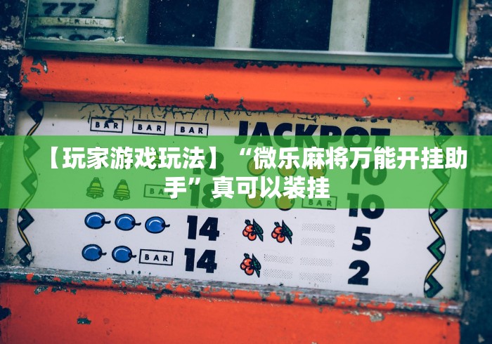 【玩家游戏玩法】“微乐麻将万能开挂助手”真可以装挂