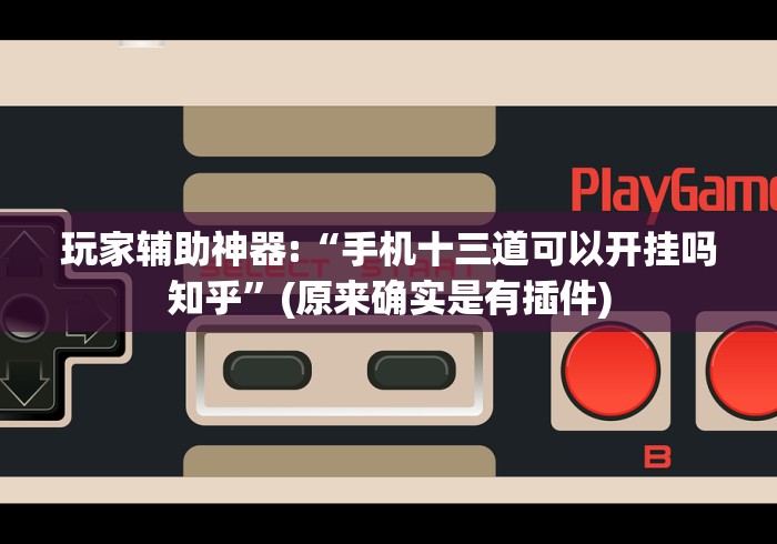 玩家辅助神器:“手机十三道可以开挂吗知乎”(原来确实是有插件)