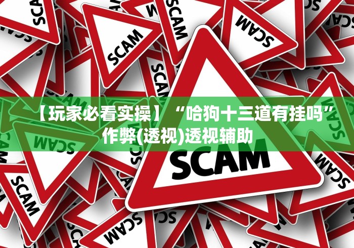 科技媒体实测“微乐自建房安装挂”(确实有挂)