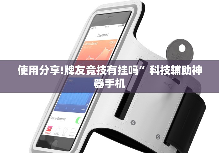 [分享]“微乐填大坑开挂真实可靠”辅助神器插件下载