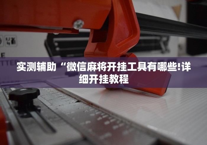 教程开挂辅助“微乐家乡麻将免费开挂微乐家乡麻将万能	”实测确实有挂