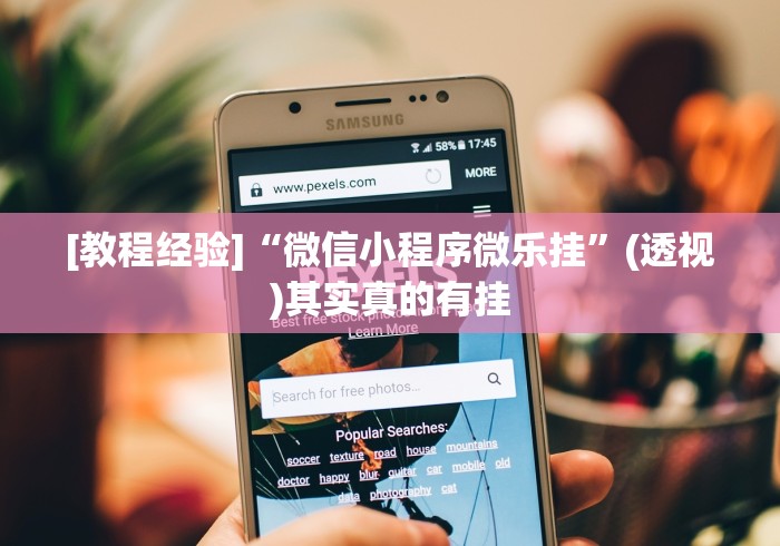 使用分享“新海贝之城开挂教程[分享装挂详细步骤]