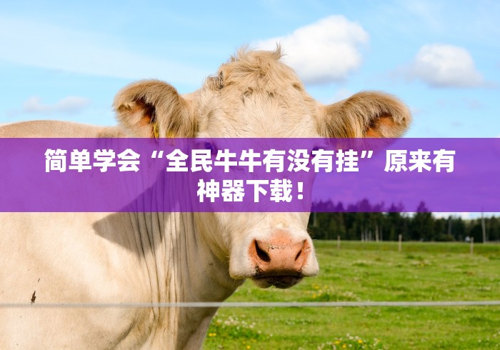 简单学会“全民牛牛有没有挂	”原来有神器下载！