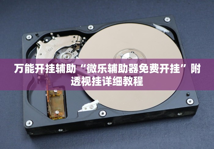 万能开挂辅助“微乐辅助器免费开挂”附透视挂详细教程