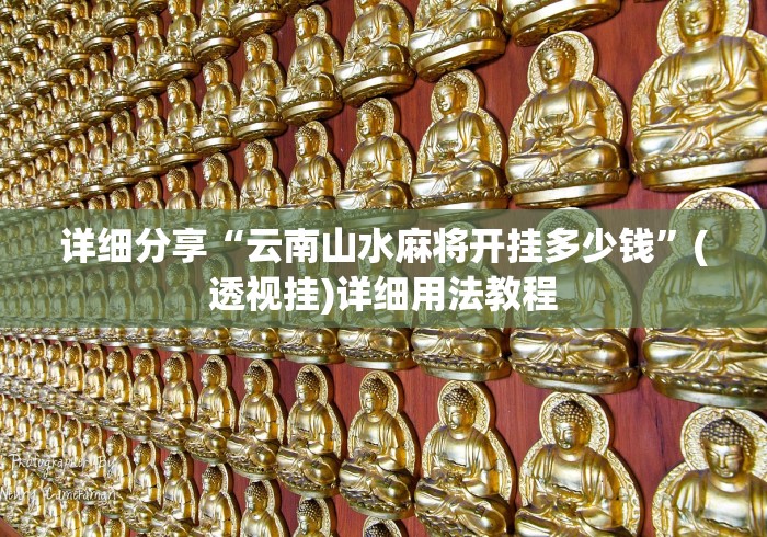 详细分享“云南山水麻将开挂多少钱”(透视挂)详细用法教程