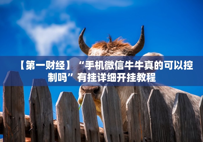 实测教程“微乐捉鸡麻将怎样玩才能赢分”-详细教程