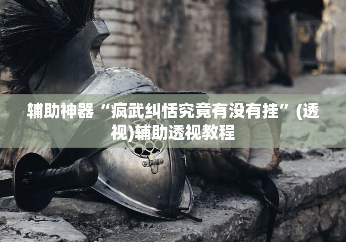 辅助神器“疯武纠恬究竟有没有挂”(透视)辅助透视教程