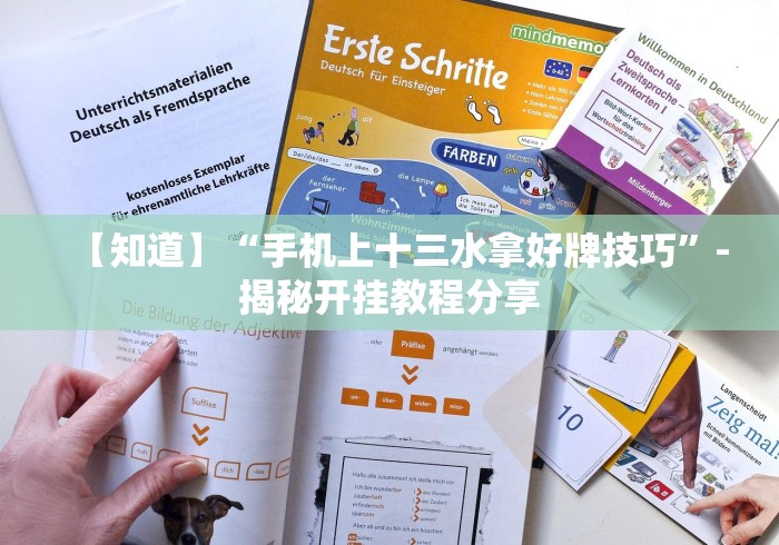盘点"微乐二丁拐辅助器”(其实是有挂)
