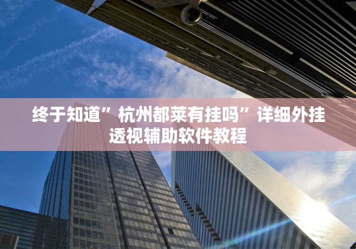 终于知道”杭州都莱有挂吗	”详细外挂透视辅助软件教程