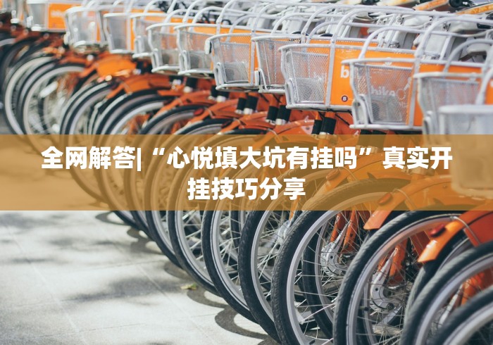 全网解答|“心悦填大坑有挂吗”真实开挂技巧分享
