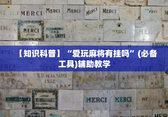 内测功能“闽乐乐510k辅助器”开挂辅助详细步骤