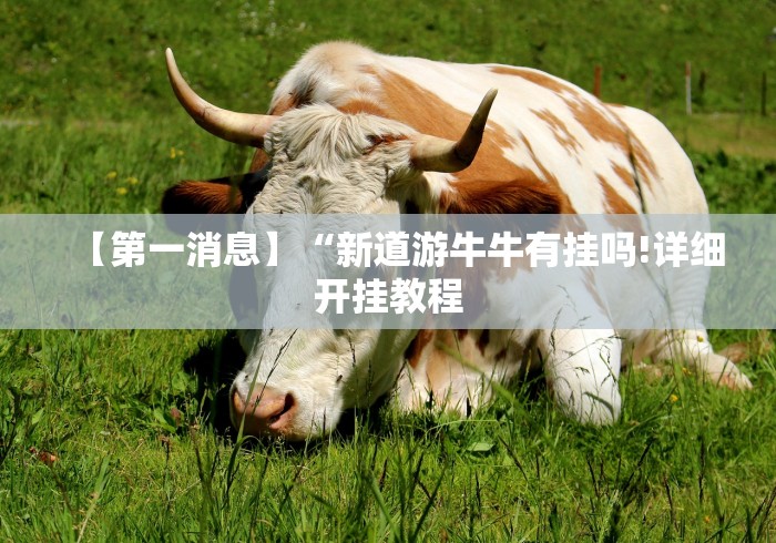 【玩家必备技术】“微信拼三张透视挂是真的吗”开挂辅助脚本+详细开挂安装教程