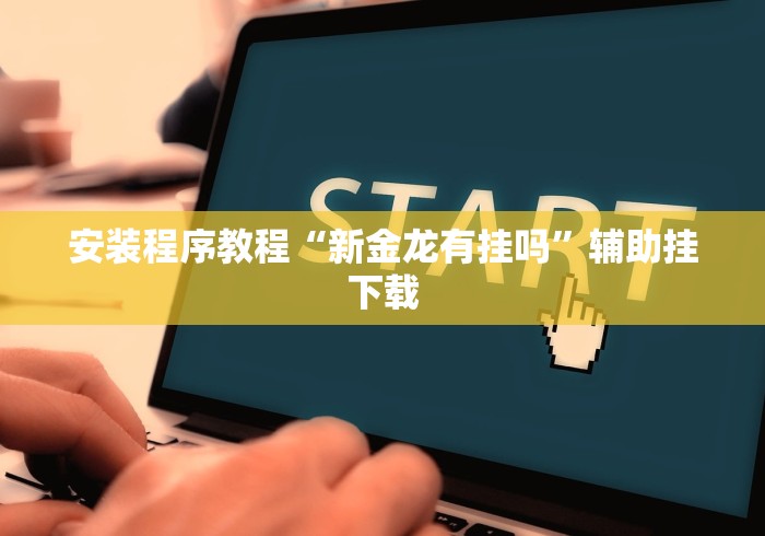安装程序教程“新金龙有挂吗”辅助挂下载