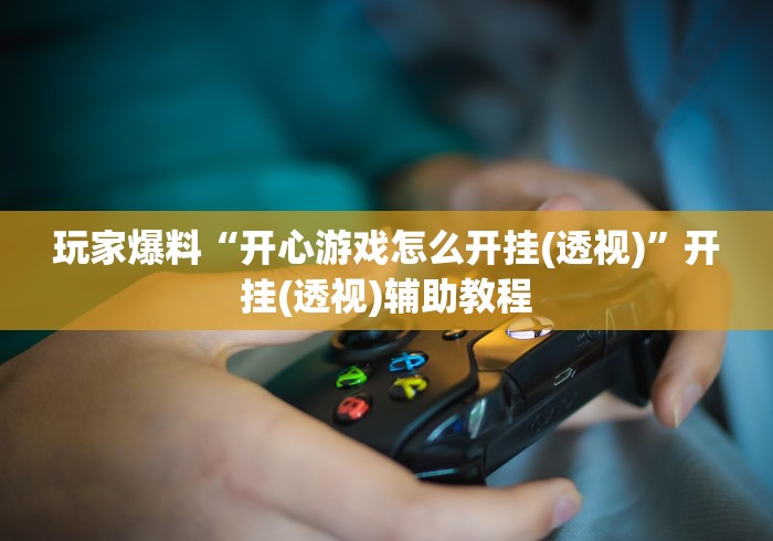 玩家辅助神器:“十三张有没有挂?	”(果然有透视挂) 
