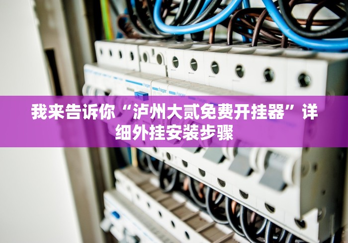 我来告诉你“泸州大贰免费开挂器”详细外挂安装步骤