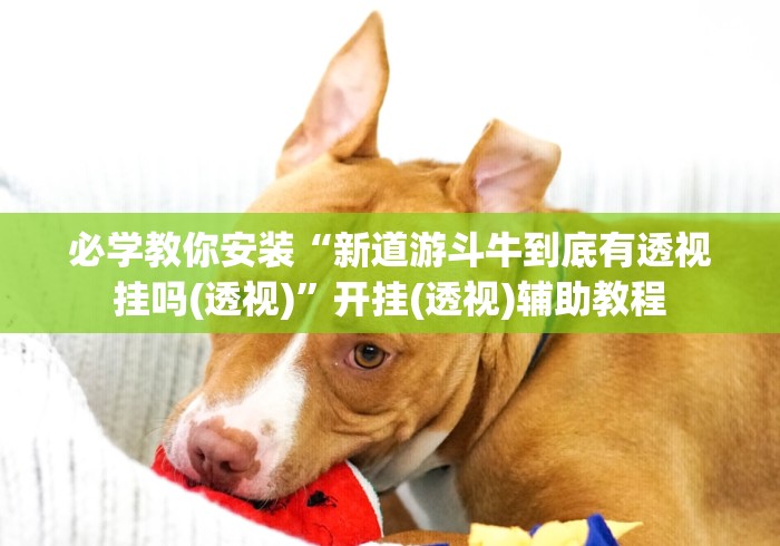 必学教你安装“新道游斗牛到底有透视挂吗(透视)	”开挂(透视)辅助教程