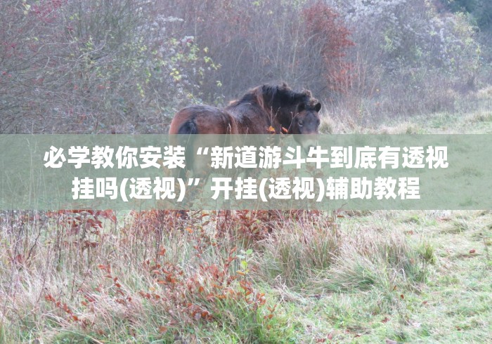 大家普及一下“如何提高微乐麻将胜率”(最新透视辅助上线)