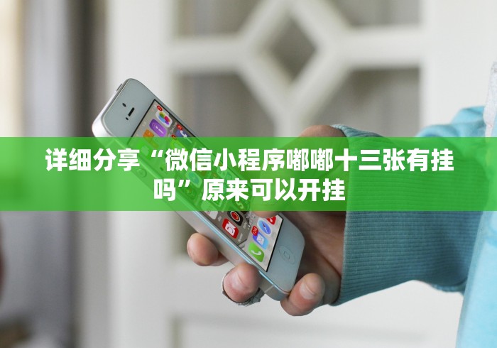 安装程序教程“小程序广东雀神麻将有挂吗”辅助透视教程