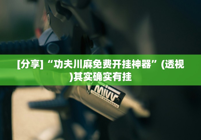 终于懂了“山西扣点点开挂方法	”其实有开挂插件!