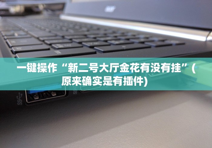 一键操作“新二号大厅金花有没有挂”(原来确实是有插件) 