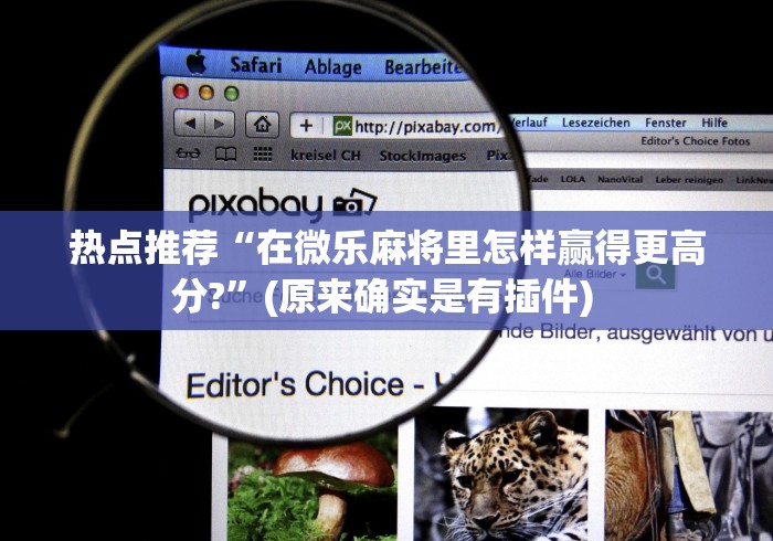 热点推荐“在微乐麻将里怎样赢得更高分?	”(原来确实是有插件) 