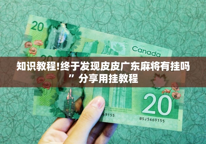 知识教程!终于发现皮皮广东麻将有挂吗”分享用挂教程