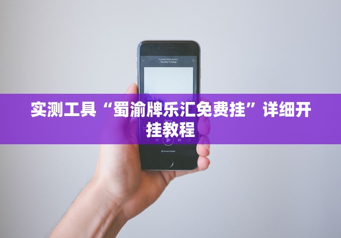实测工具“蜀渝牌乐汇免费挂	”详细开挂教程
