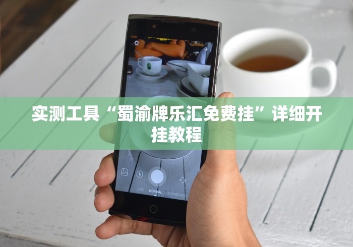 实测工具“蜀渝牌乐汇免费挂”详细开挂教程