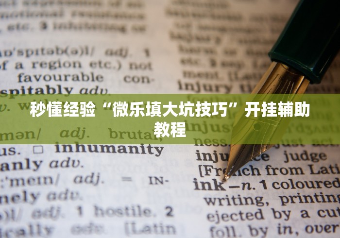 秒懂经验“微乐填大坑技巧”开挂辅助教程
