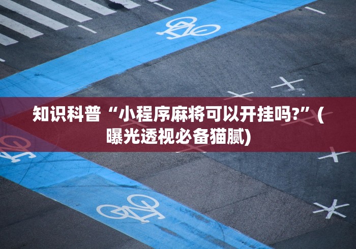 可用版本“决胜麻将小程序打不开”详细外挂透视辅助软件教程