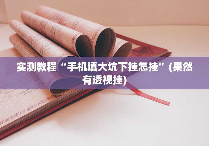 实测教程“手机填大坑下挂怎挂”(果然有透视挂)