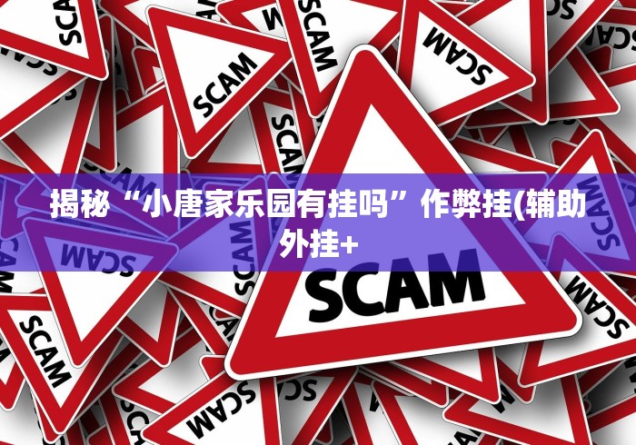 揭秘“小唐家乐园有挂吗”作弊挂(辅助外挂+