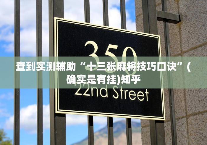 秒懂经验“湛江麻将技巧!详细开挂教程 秒懂经验“湛江麻将技巧!详细开挂教程