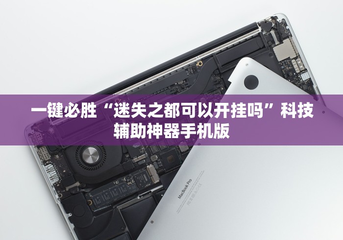 经验传递“微乐河南麻将有技巧吗”（透视挂）辅助神器教程