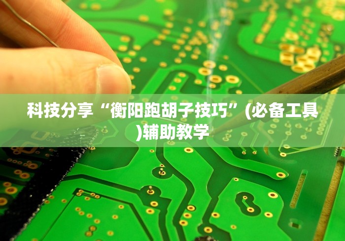 科技分享“衡阳跑胡子技巧	”(必备工具)辅助教学