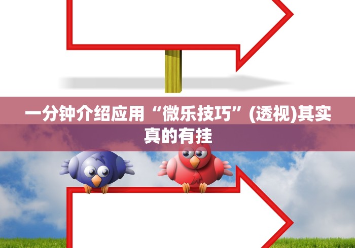 一分钟介绍应用“微乐技巧”(透视)其实真的有挂