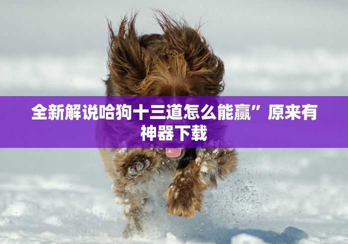 科普一下牵手湖南麻将哪里有挂	”-开挂神器-包教包会