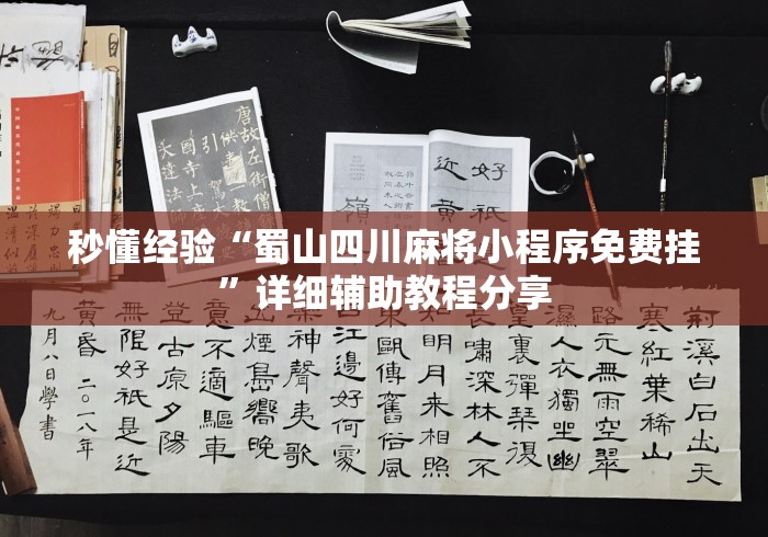 秒懂经验“蜀山四川麻将小程序免费挂”详细辅助教程分享