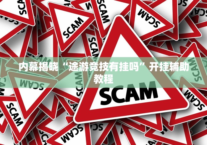 内幕揭晓“途游竞技有挂吗”开挂辅助教程
