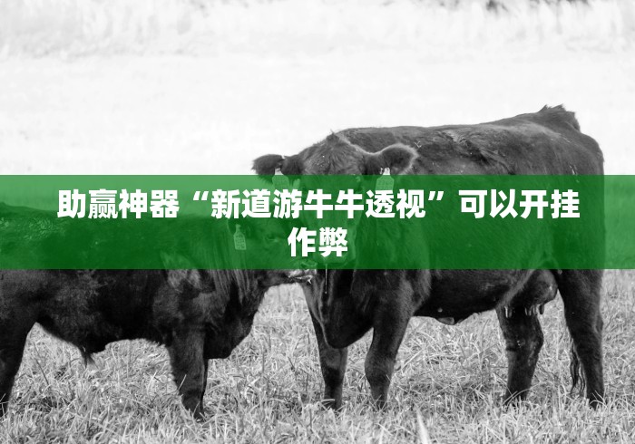 助赢神器“新道游牛牛透视”可以开挂作弊