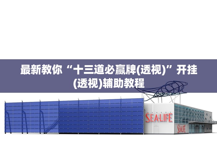 详细分享“微乐小程序助赢神器下载安装”(原来确实是有挂)