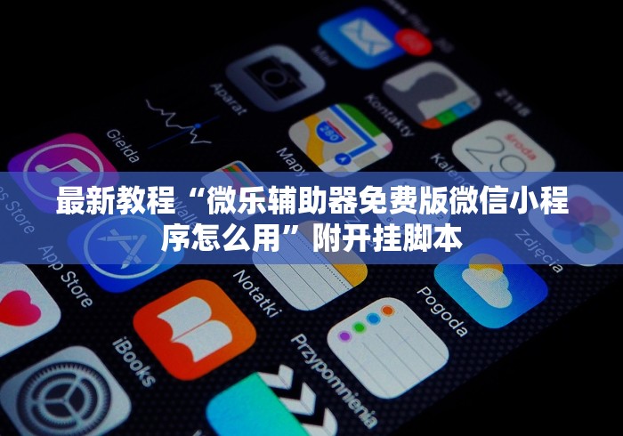 最新教程“微乐辅助器免费版微信小程序怎么用	”附开挂脚本