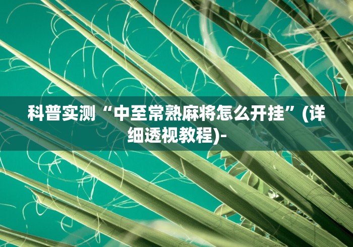 科普实测“中至常熟麻将怎么开挂”(详细透视教程)-