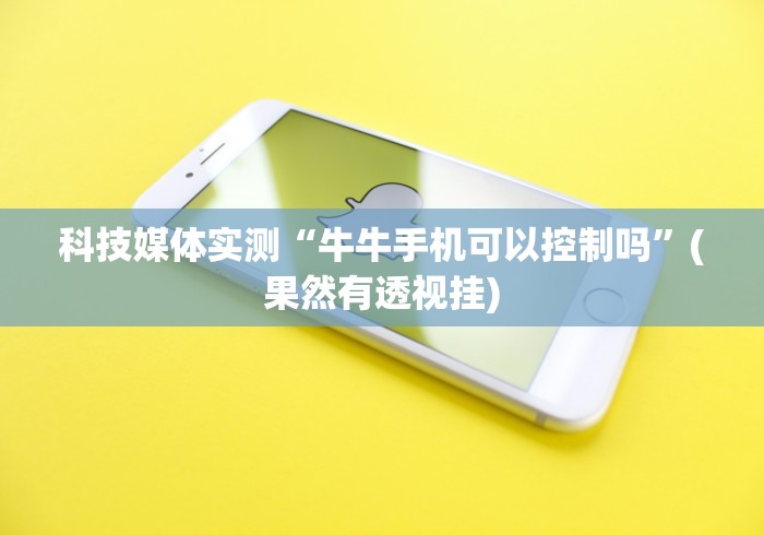 科技媒体实测“牛牛手机可以控制吗	”(果然有透视挂)