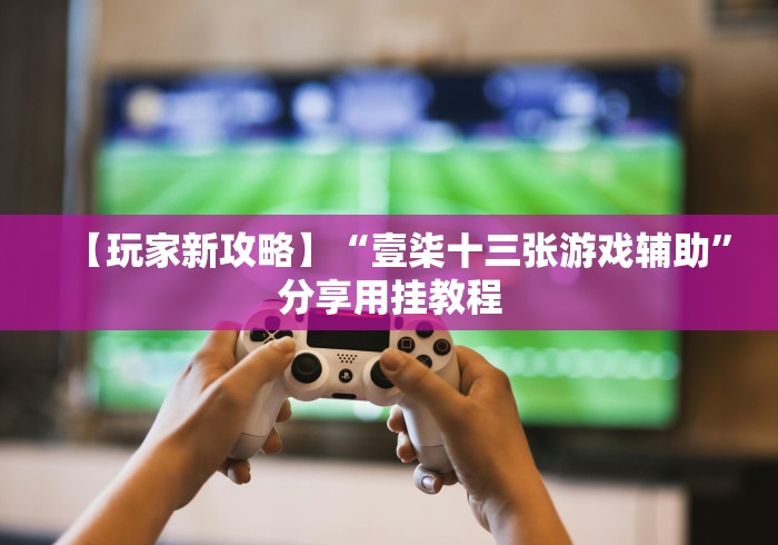 今日必看教程“微信小程序微乐陕西挖坑辅助”事实上真的有挂