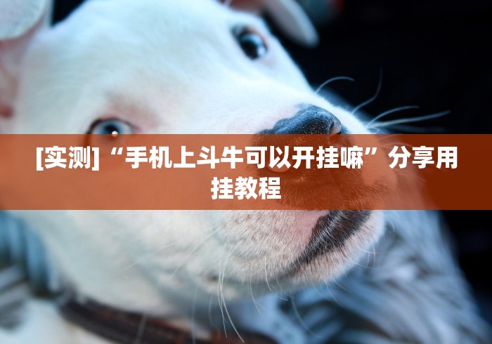 【玩家必看实操】“手机斗牛开挂神器下载安装	”详细分享装挂