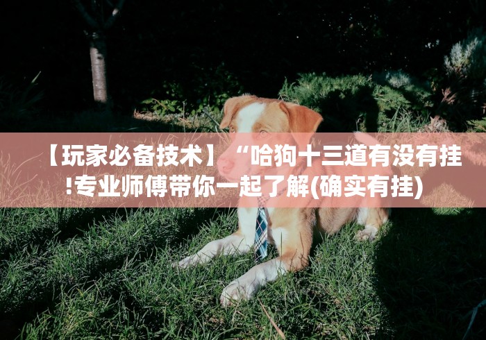 今日重大通报“微信红包埋雷扫雷有没有挂(辅助挂)2025透视开挂”开挂安装教程