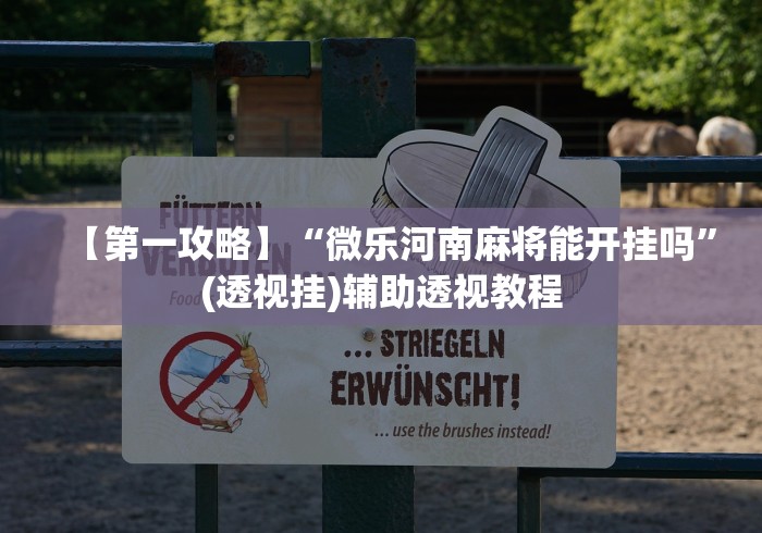 【第一攻略】“微乐河南麻将能开挂吗”(透视挂)辅助透视教程