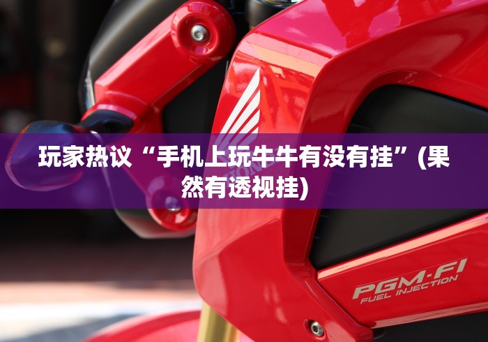 玩家热议“手机上玩牛牛有没有挂”(果然有透视挂)