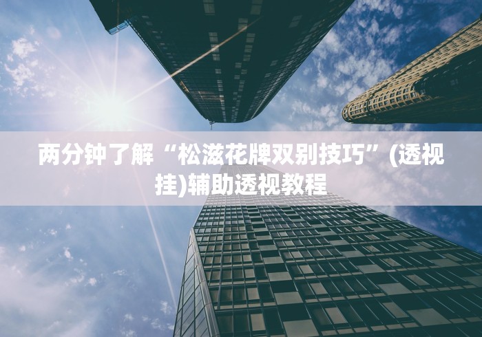 两分钟了解“松滋花牌双别技巧”(透视挂)辅助透视教程